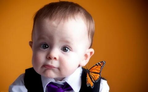 Милый ребенок в костюме с бабочкой - обои на рабочий стол.