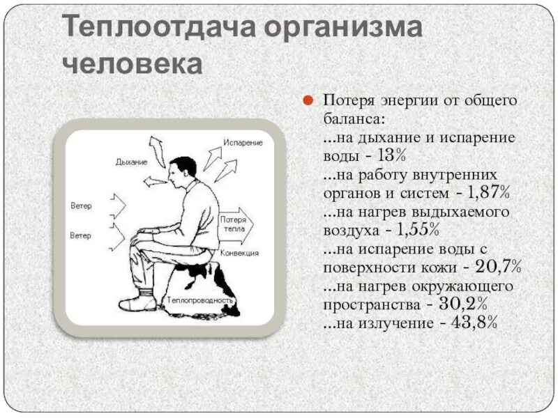 Конвекция человека. Теплоотдача организма человека. Схема теплоотдачи тела человека. Теплоотдача от тела человека происходит. Виды теплоотдачи человека.