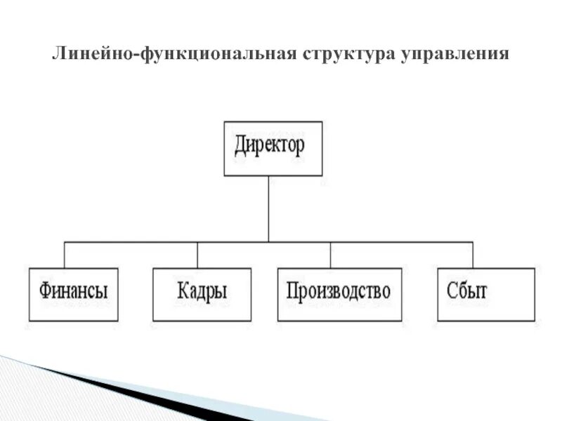 Функциональный состав организации. Линейно-функциональная структура управления компании. Линейно-функциональная организационная структура управления для ООО. Линейно-функциональная организационная структура схема. Линейно-функциональная организационная структура управления схема.