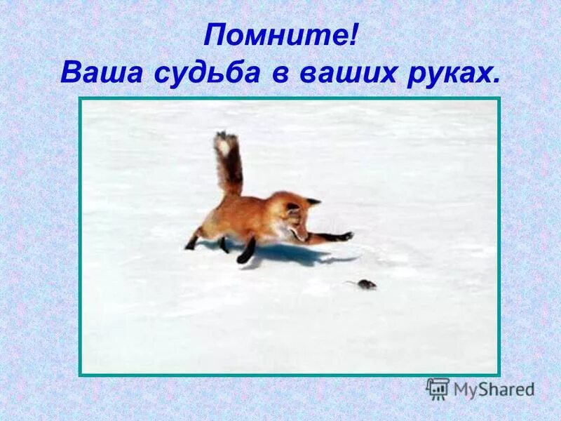 ваша судьба в ваших руках