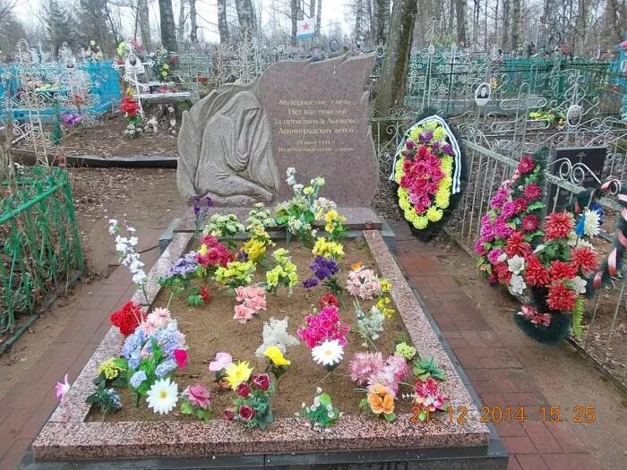 Кладбище в лагере герасева. Фото саласпилсского лагеря. 214 детей в ейске в 1942. Памятник ленинградским детям на станции лычково. Братская могила детей.