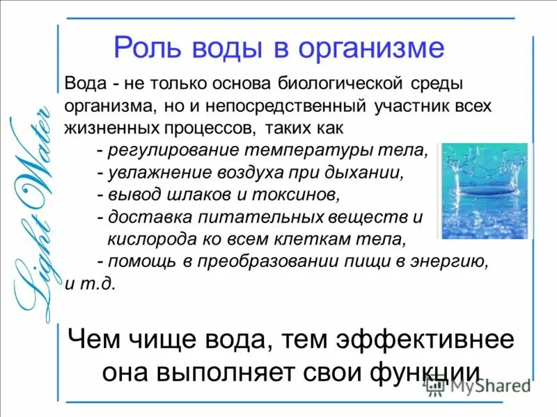 50 воды в организме. Роль воды. Роль воды в организме. Функции воды в организме человека. Роль воды в жизни человека.