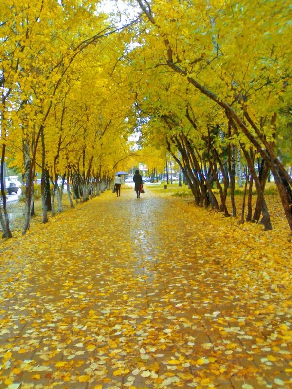 Тюмень осень - Арт Минск.ру