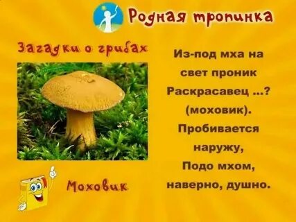 Загадка про белый гриб