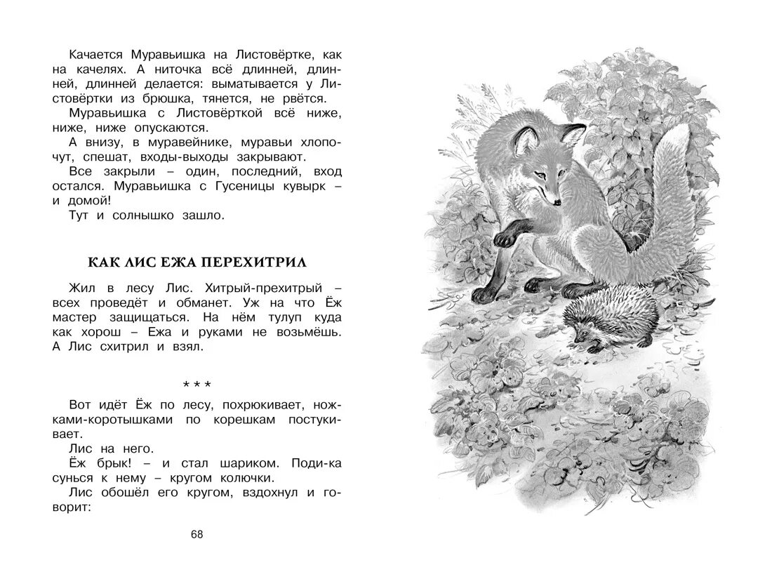 Про ежа и лису. Бианки лис и еж. как лис ежа перехитрил бианки.