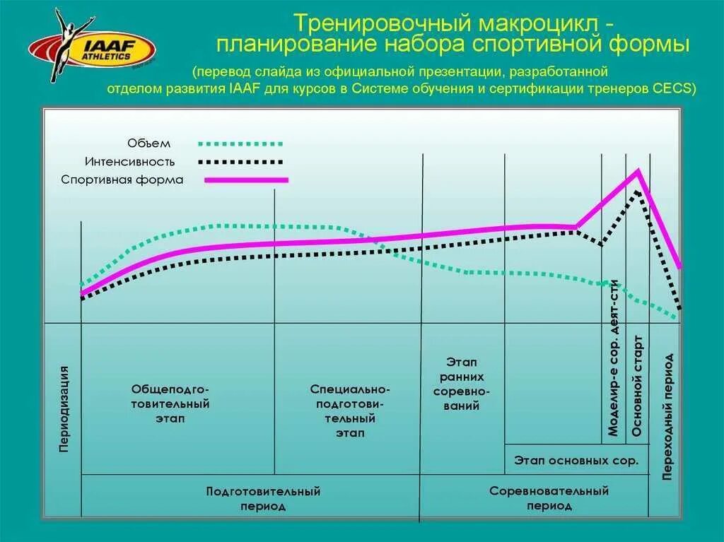 Макроцикл это