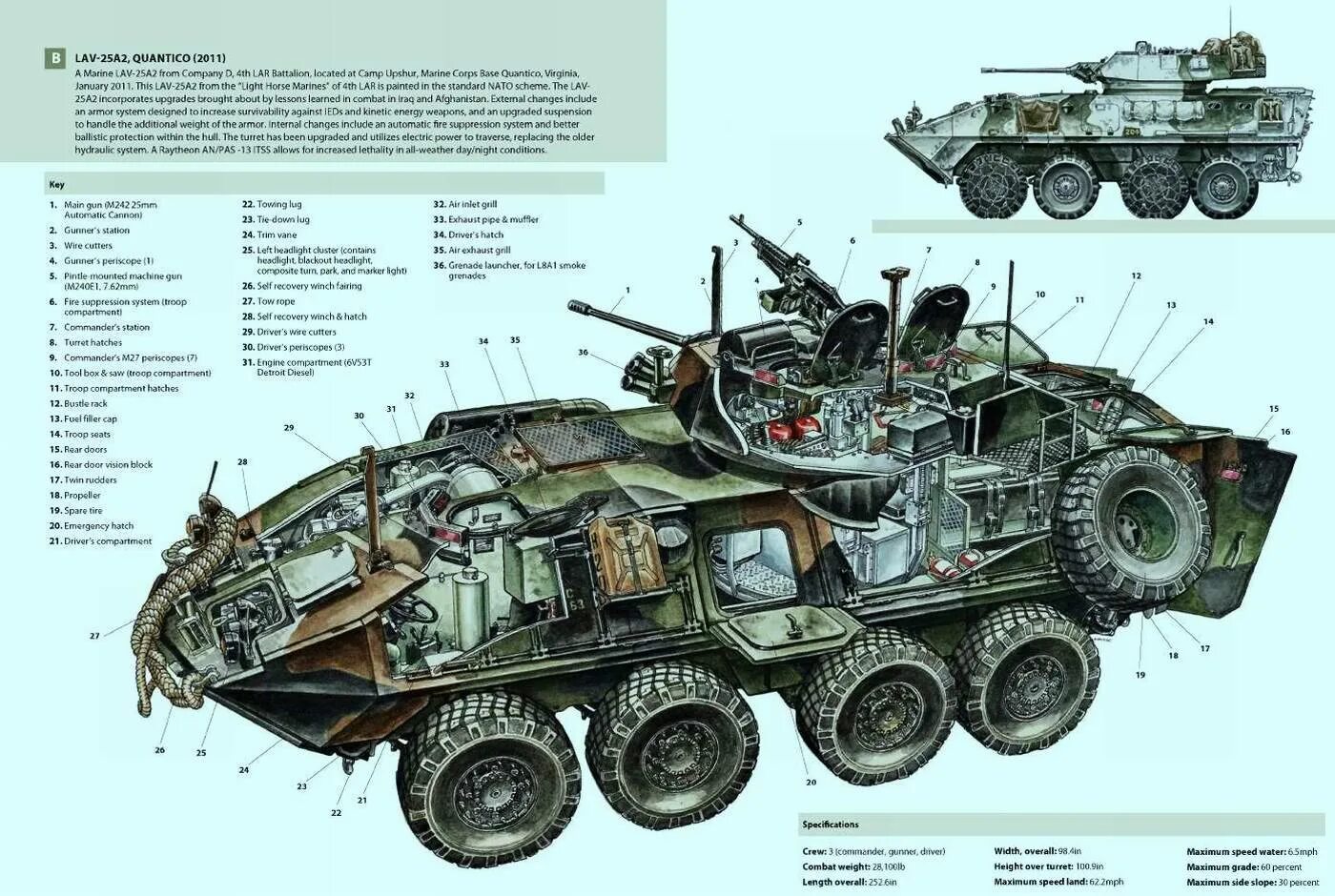 Бтр это расшифровка. БТР Lav-25. Танк БТР 80. БТР 80 схема расположения экипажа. Боевая машина БТР 80.