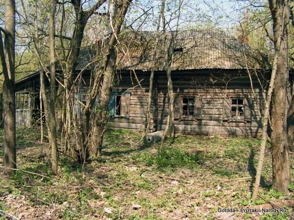 Прибор Гомельский район Белорусская глубинка