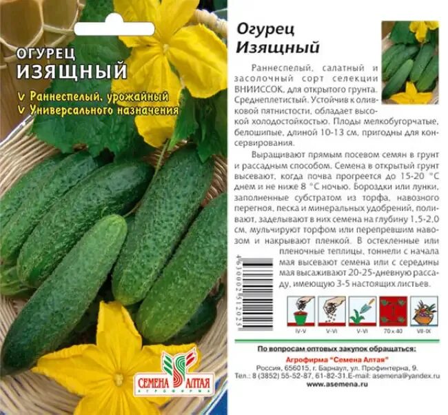 Огурец описание сорта фото отзывы. Огурцы сорт изящный описание сорта. Семена огурец изящный. Изящный f1 огурец. Огурец изящный описание сорта фото отзывы.