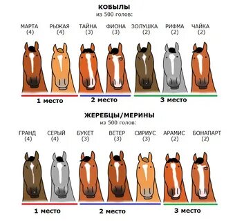 Красивые названия лошадей