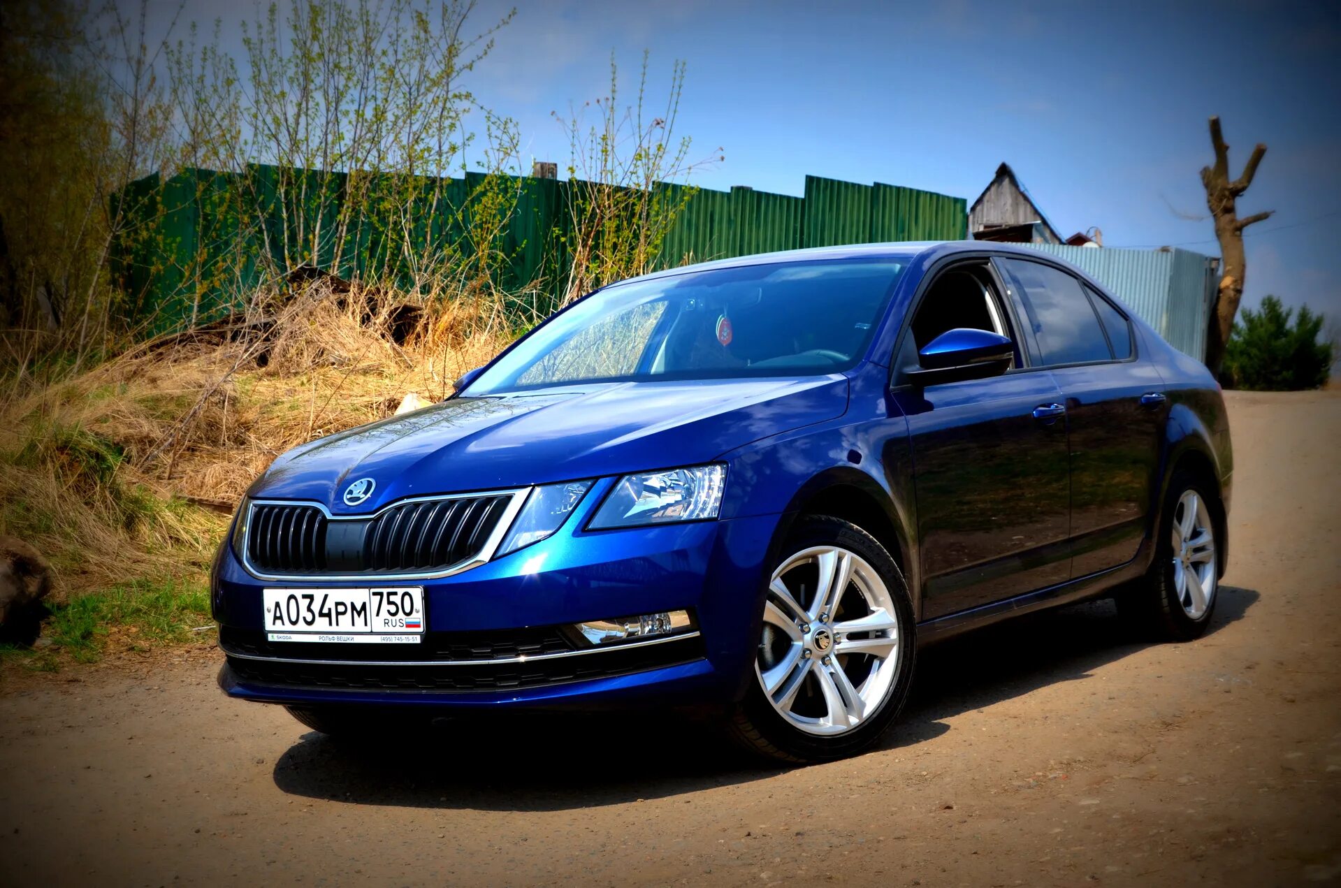 Skoda Octavia a5 синяя. Шкода Активиа а5. Skoda octavia цвета