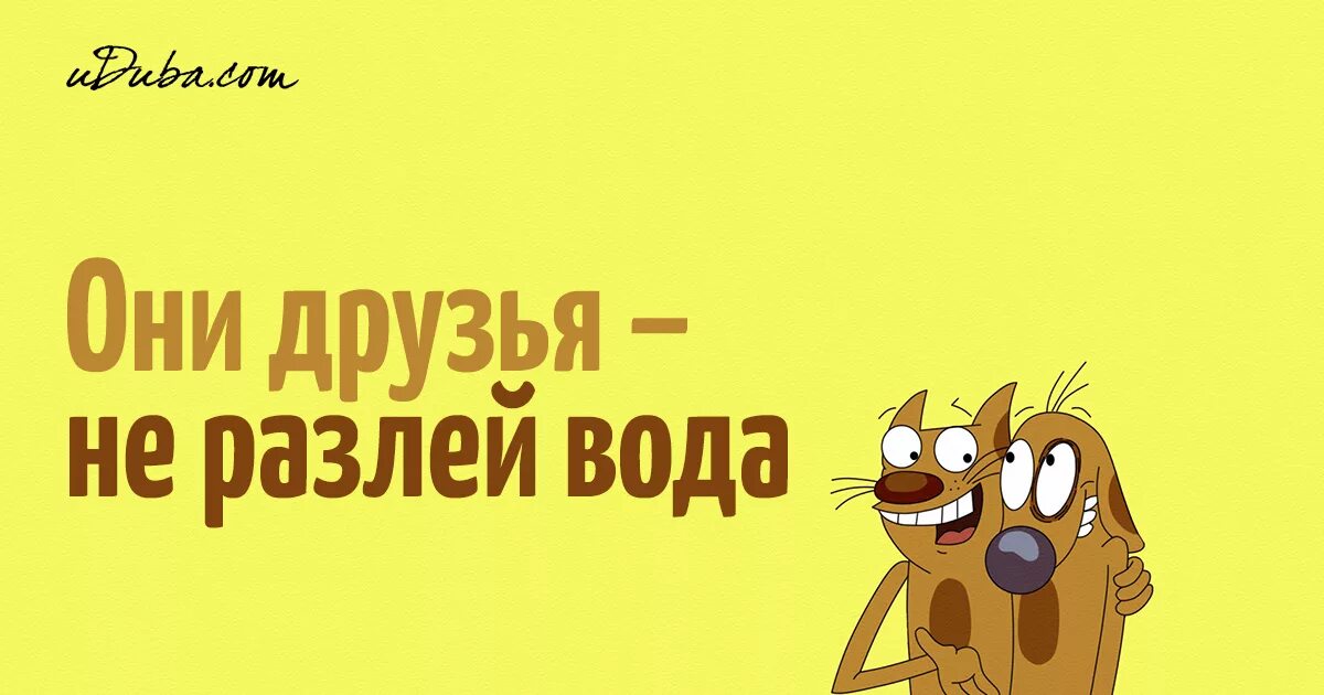 Песня не разлей вода. Друзья не разлей вода. Не разлей вода фразеологизм. Дружба не разлей вода. Дружба не разлей вода фразеологизм.