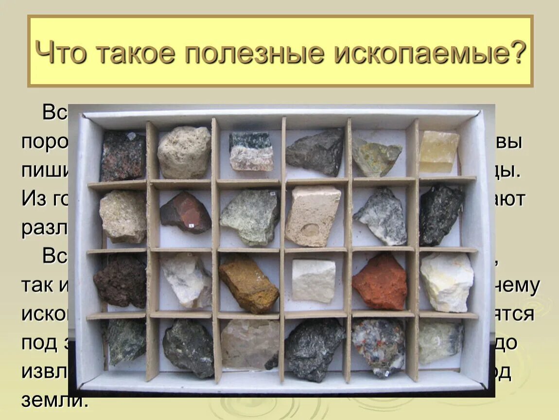 Что такое полезные ископаемые. Полезные ископаемые. Полезные горные породы. Коллекция минералов и горных пород. Коллекция минералов и горных пород полезных ископаемых.