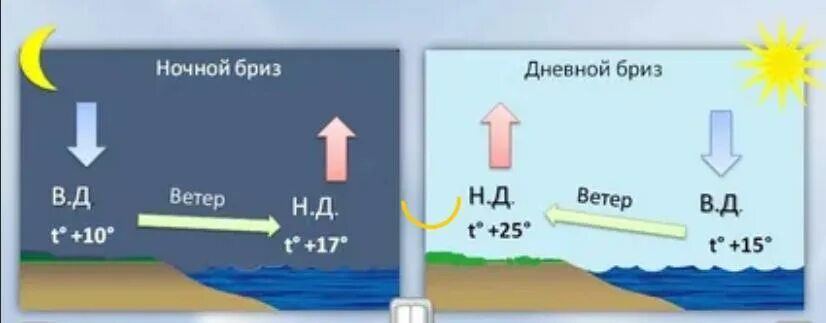 Направление бризов это суточный