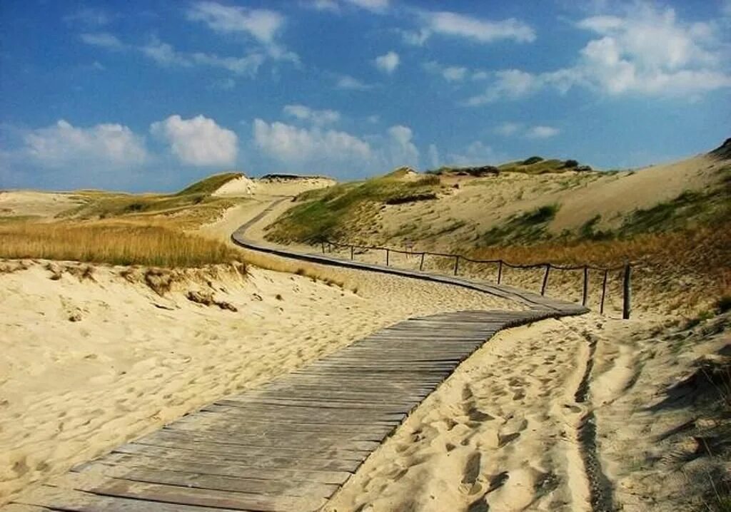 Намывные пески санкт-петербург. Фон песок. Песок насыпной. Песок карьерный песок намывной. Дюны калининград куршская коса.