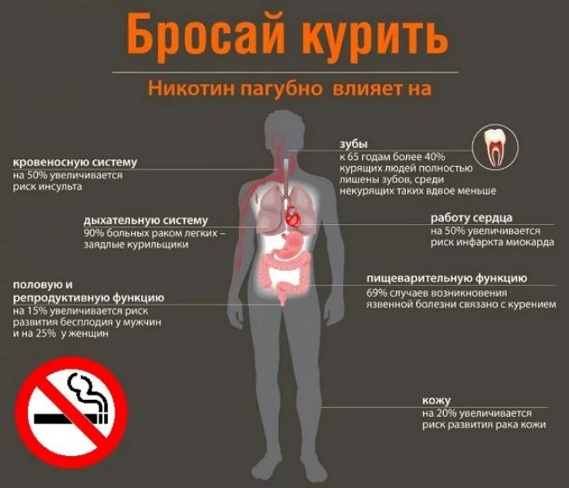 После курения болит голова и кружится. Изменения в организме после отказа от курения по дням у женщин. Дыхательная гимнастика для курильщиков. После курения болит голова. Почему после курения кружится голова.
