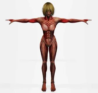 "Female Titan. strp/female_titan_by_artofsiele_dee1f1l-fullview.jpg?to...