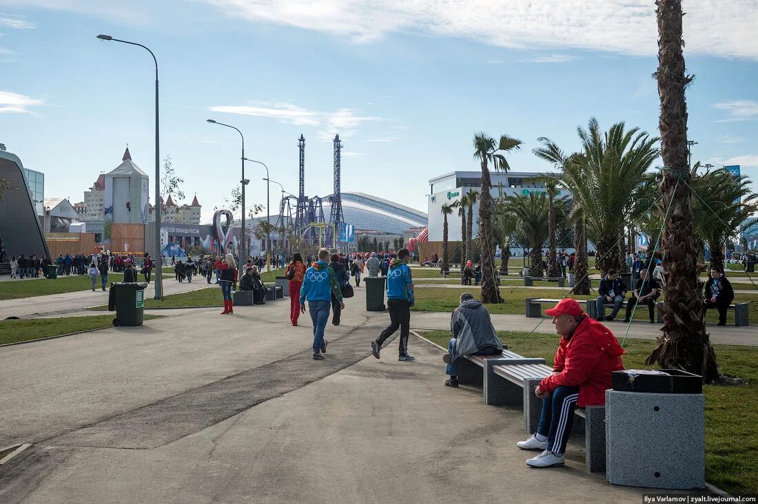 Варламов в Олимпийском парке Сочи. Сочи сейчас. Фото Сочи сейчас. Адлер сейчас. Результат сочи сегодня