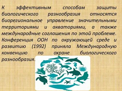 Биологические конвенции