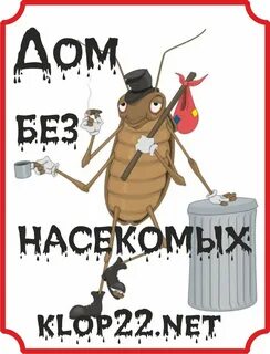 День насекомых