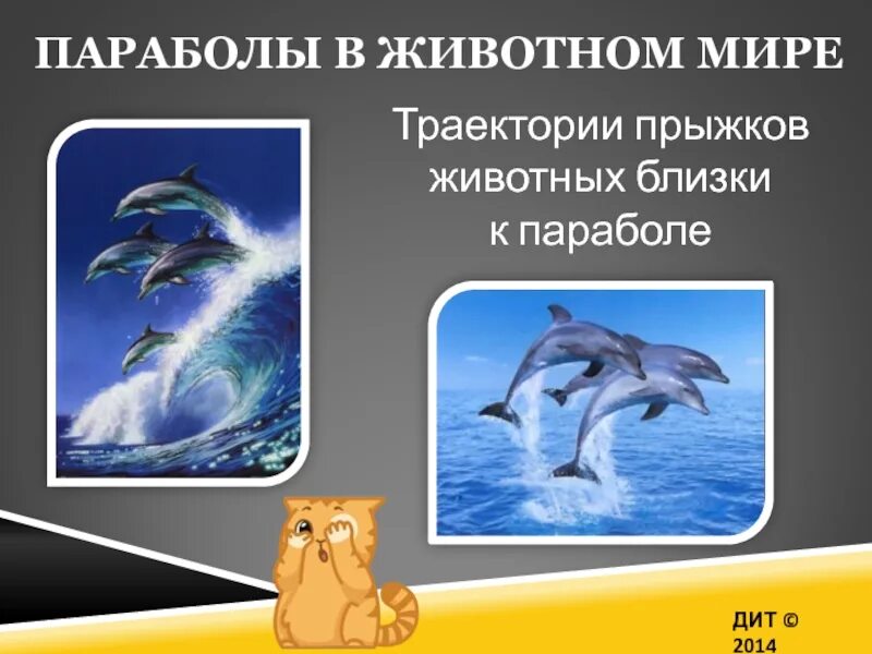 Функции математики в окружающем мире проект Применение функций в математике: найдено 90 картинок