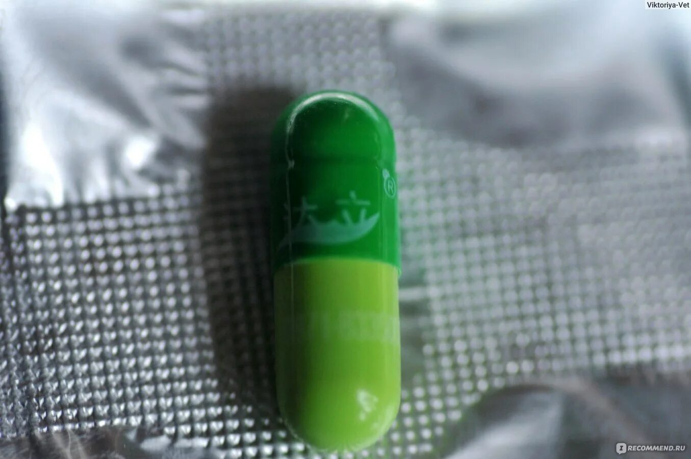 Капустные таблетки для похудения. Гомель. Таблетка бу речица. Минске таблетки. 24мг №60.