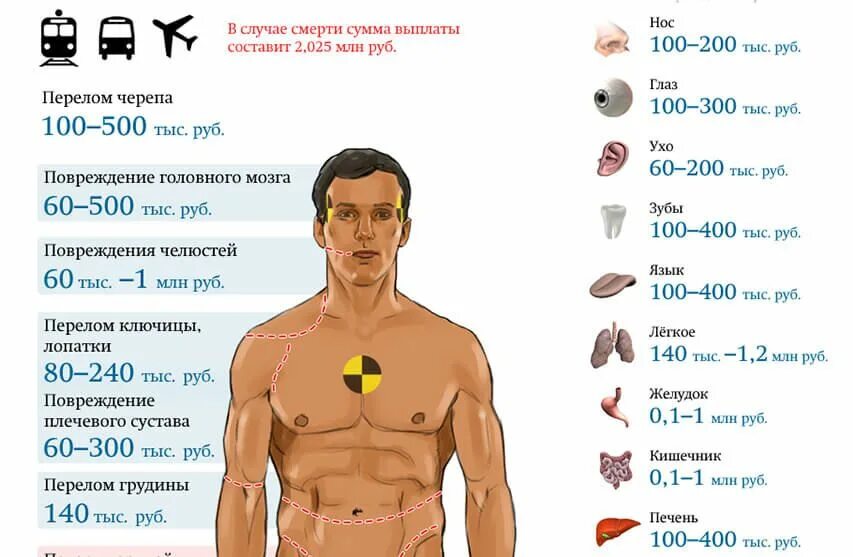 Самый дорогой орган человека