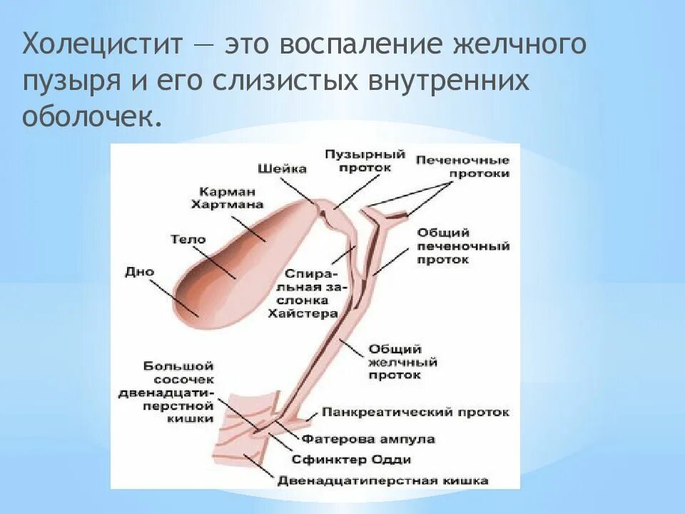 Холецистит желчного пузыря лечение. Холецистит воспаление. воспаление желчного пузыря. холецистит желчного пузыря.