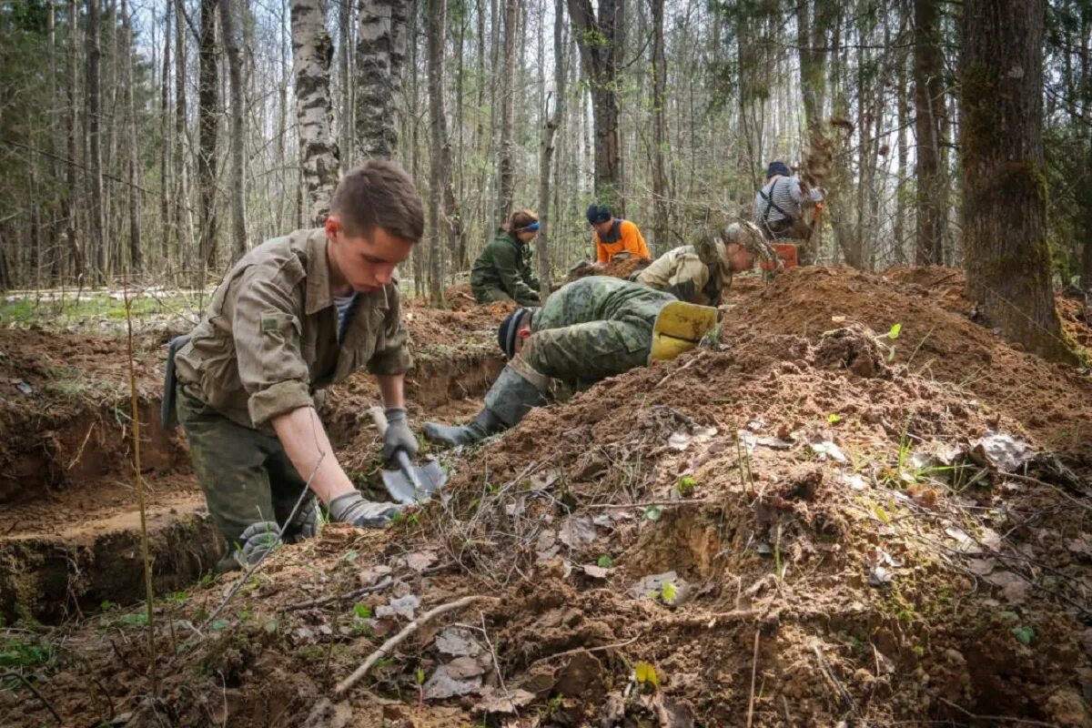 Ржев болота. Поисковые экспедиции на местах сражений. Поисковые отряды раскопки. Поисковая Экспедиция.