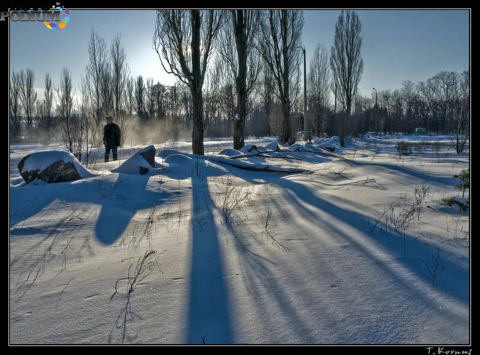 Лемболовская роща зимой.