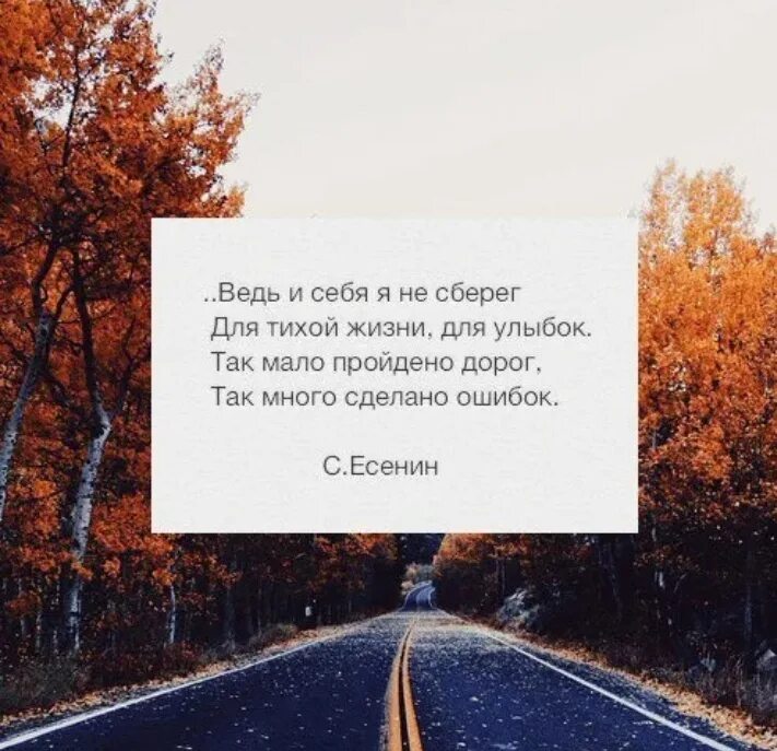 Много ошибок в произведении. Красивые фразы из стихов. Красивые строки из стихов. Красивые строчки из стихов. Цитаты из стихов.