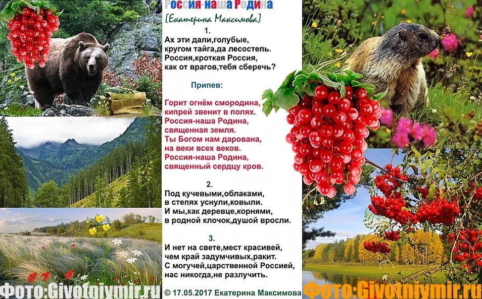 Стихи наш дом Россия. Стихотворение наша Родина Россия. Стих про родину и смородину. Кругом Тайга.