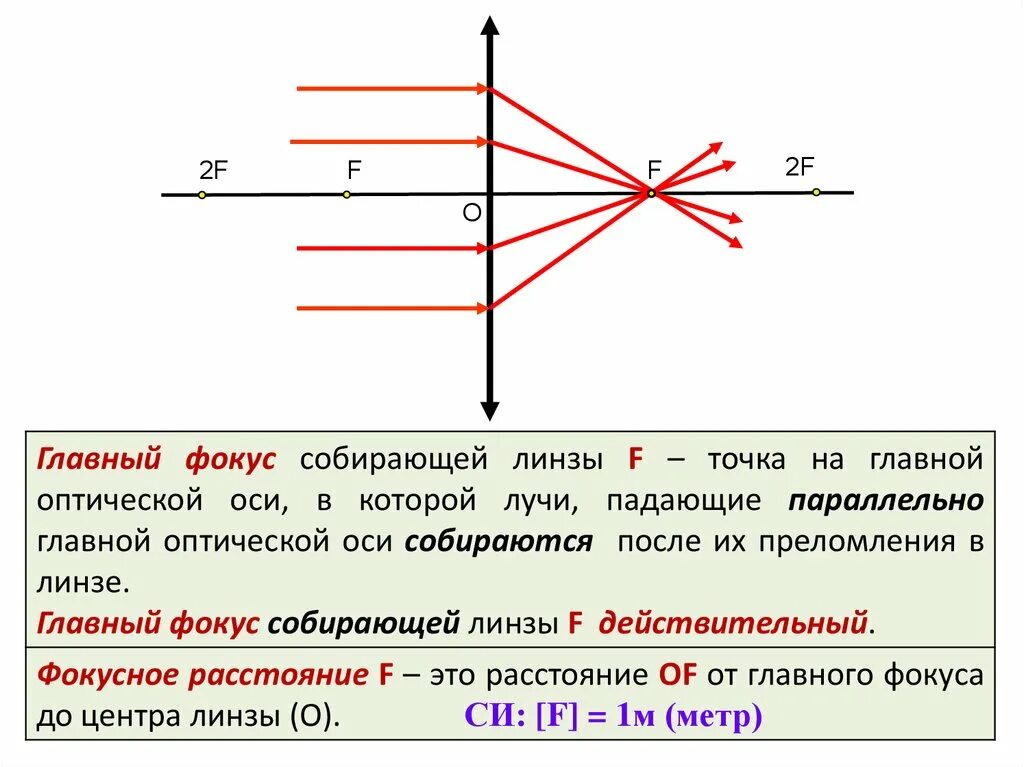 Главный фокус линзы. Фокус и Фокусное расстояние линзы. Фокус линзы физика. Главные оптические оси линз.