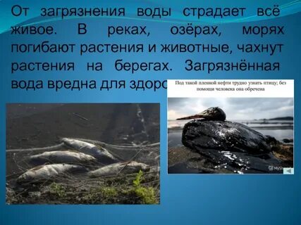 Вода умирает ли