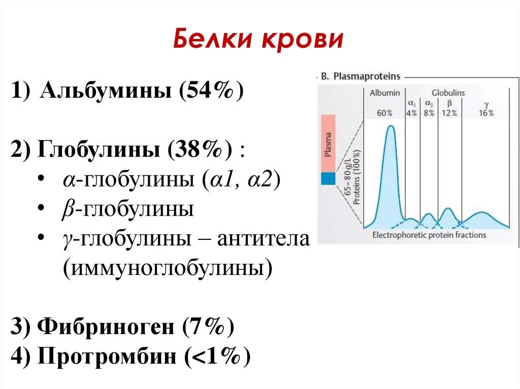 Белок плазмы крови содержащий белок. Индивидуальные белки сыворотки крови таблица. Белки плазмы крови норма. Белковый спектр плазмы крови. Схема белки сыворотки крови.