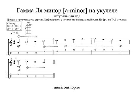 Простая гамма