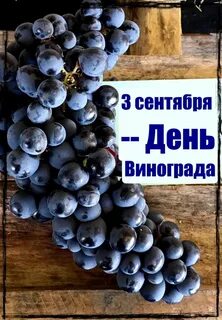 Всемирный день винограда