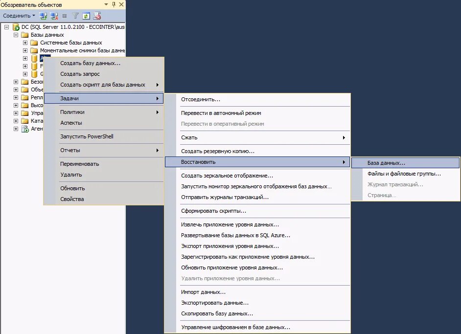 Скрипты в базе данных. Скрипт базы данных. меню базы данных. sql скрипт.