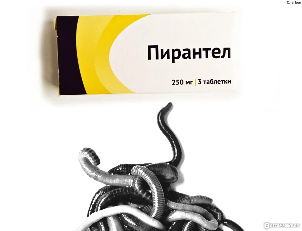 Таблетки от глистов для человека. Лекарство от глистов. Таблетки от глистов. Лекарство от глистов. Червяк таблетку.
