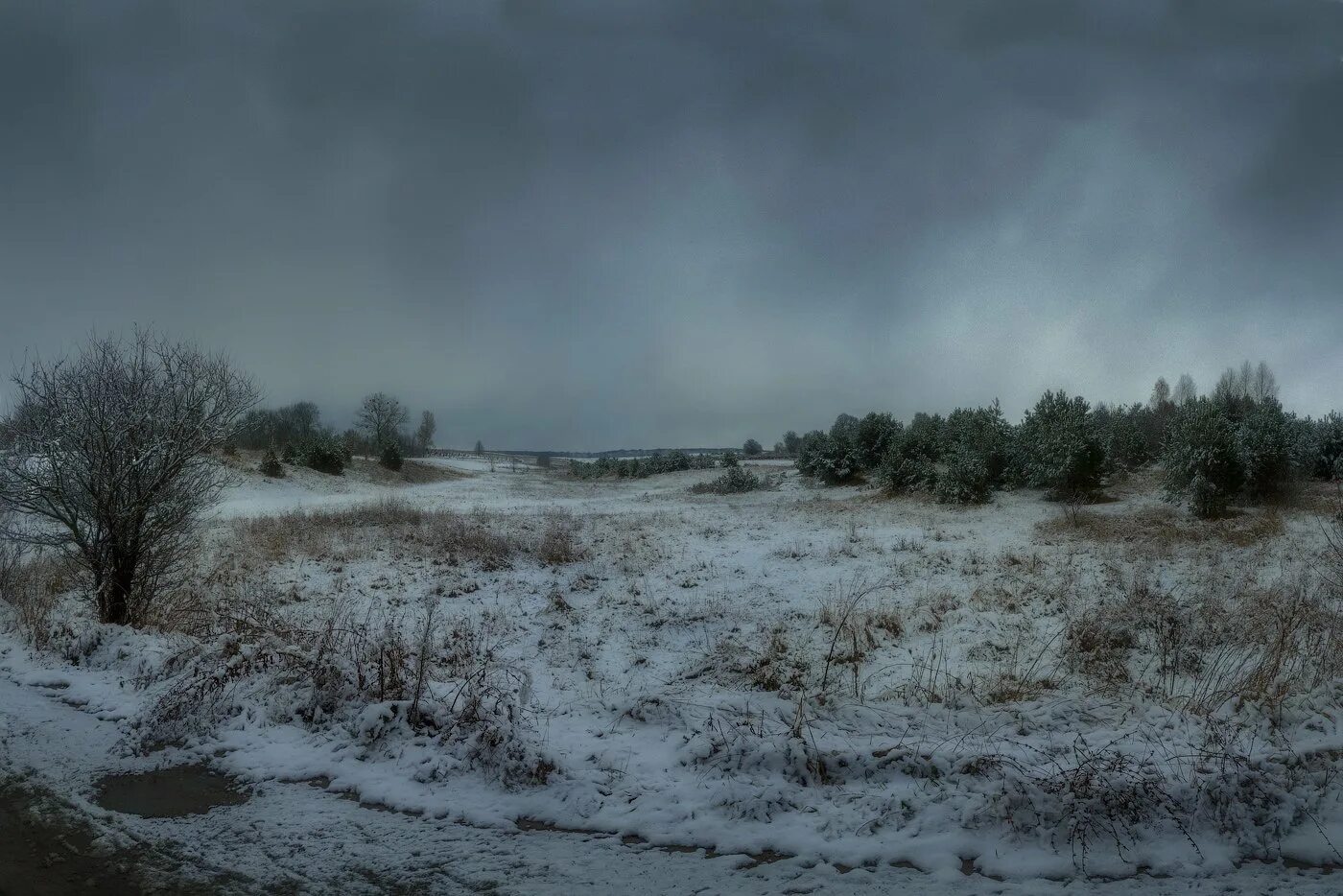 Пасмурная зима. Пасмурный зимний день. Пасмурное зимнее утро. Зимнее пасмурное небо. Пасмурный весенний день