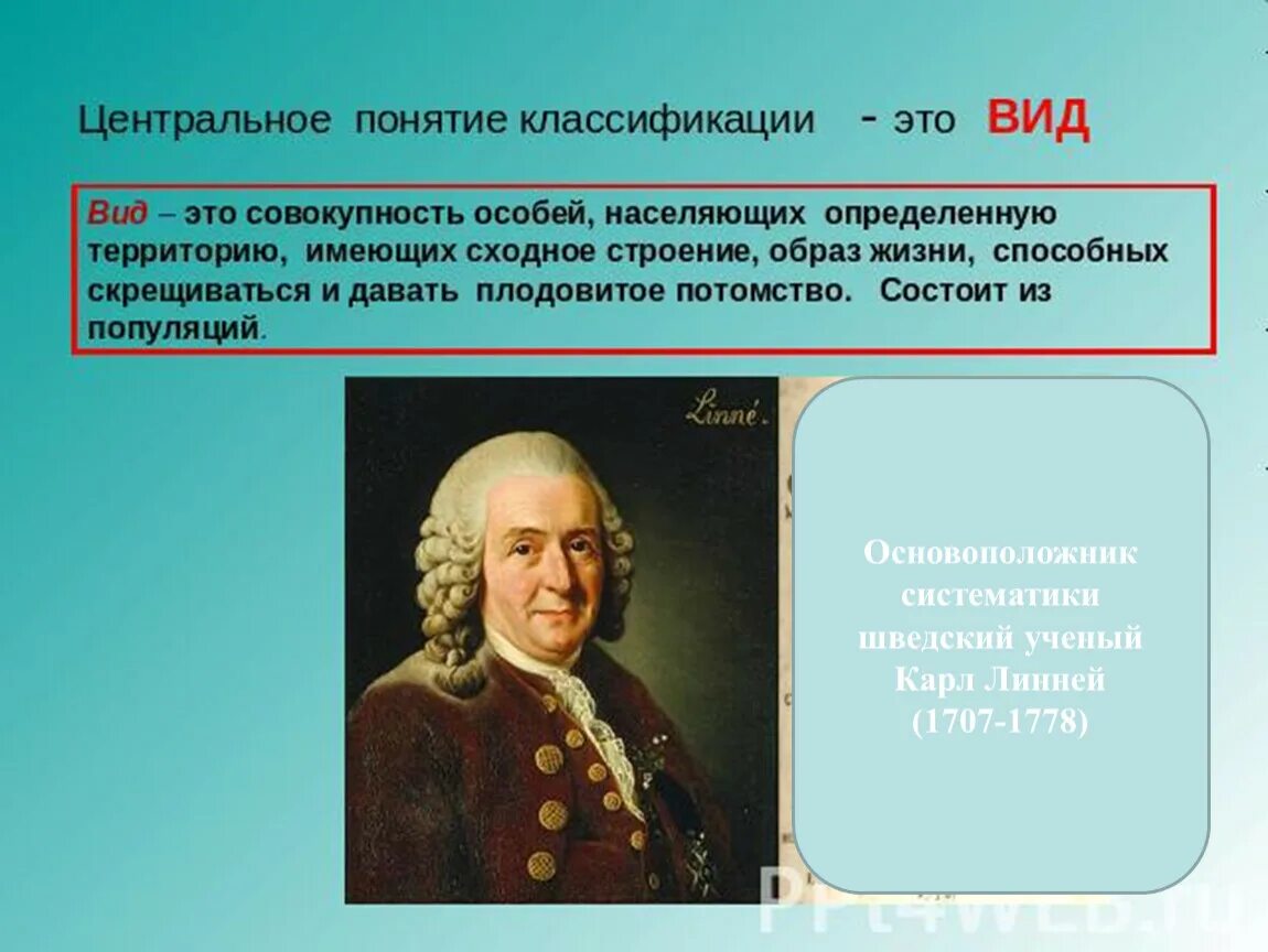 Основоположник систематики. Учёные основопложник систематике. Основатель систематики в биологии. Наименьшая единица классификации организмов. Понятия систематики