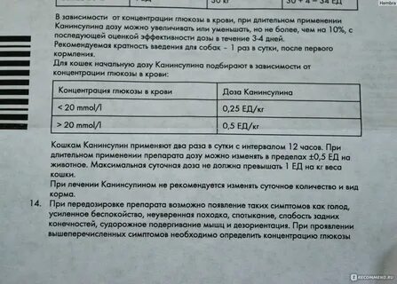 Глюкоза кошке сколько