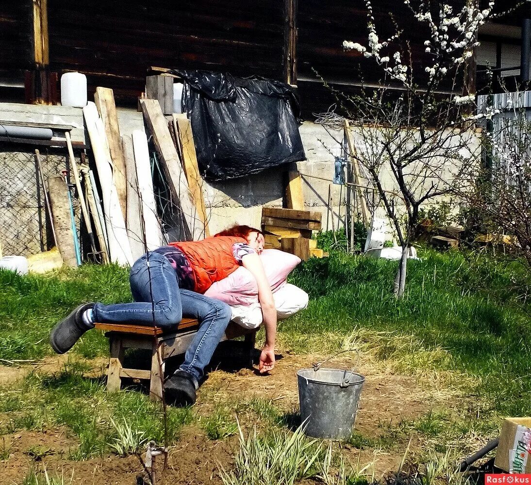 Едем на дачу отдыхать. Приколы про дачу. Прикольная дача. Отдыхаем на даче. Отпуск на даче.