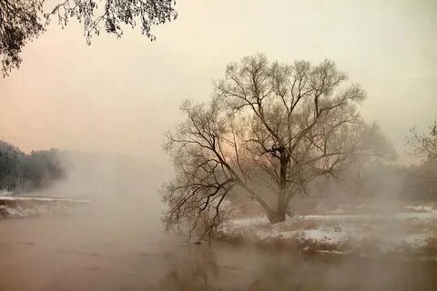 Словно речка кучин