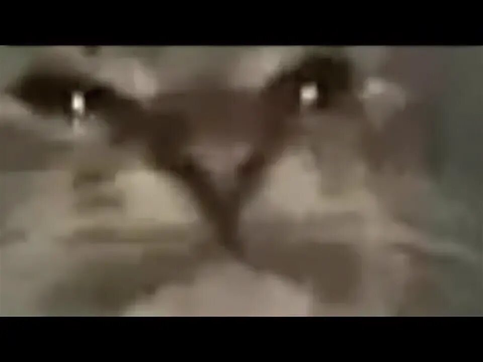 Киты маму мав. Нян кэт. Кит ты маму мав. Кот из мема кит. Кит мяу.