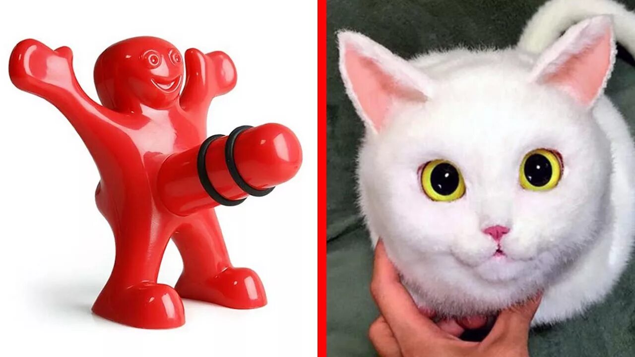 Ну игрушку какую нибудь