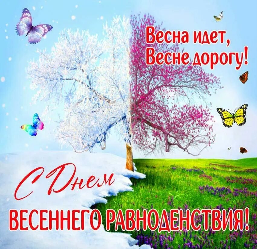 Доброе утро с днем весеннего равноденствия. День весеннего равноденствия. День равноденствия в 2023. День весеннего равноденствия картинки.