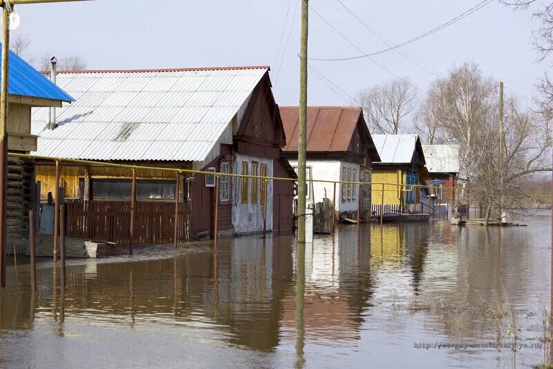 Уровень суры алатырь