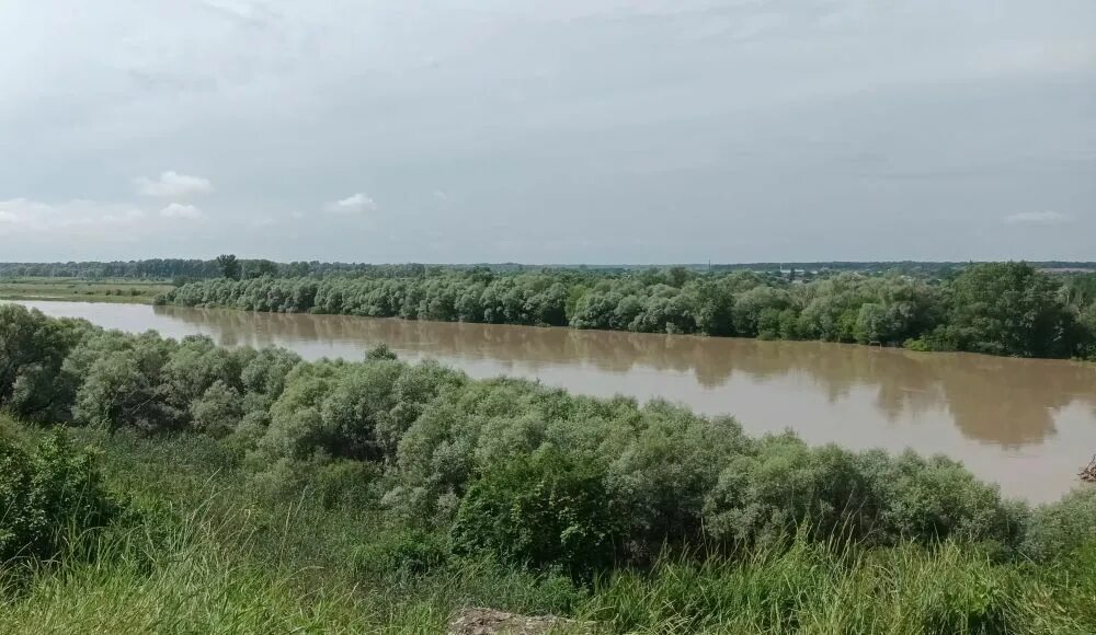 Погода в александровске усть лабинский район. Река Кубань Усть Лабинск. Хутор Александровский Усть-Лабинского района. Лабинск речка. Река Кубань утопленники.