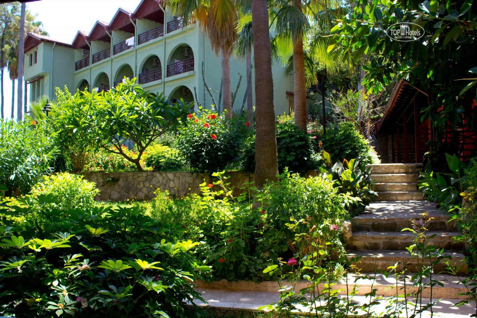 Зеленый рай коктебель. Зеленый рай. Зеленый рай. Зеленый рай. Зеленый рай барнаул.